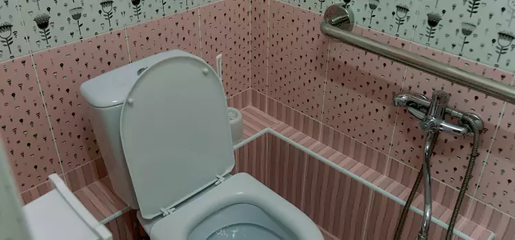 Meeting Diverse Needs With Accessible Restroom Solutions in Sainte-Julienne, QC